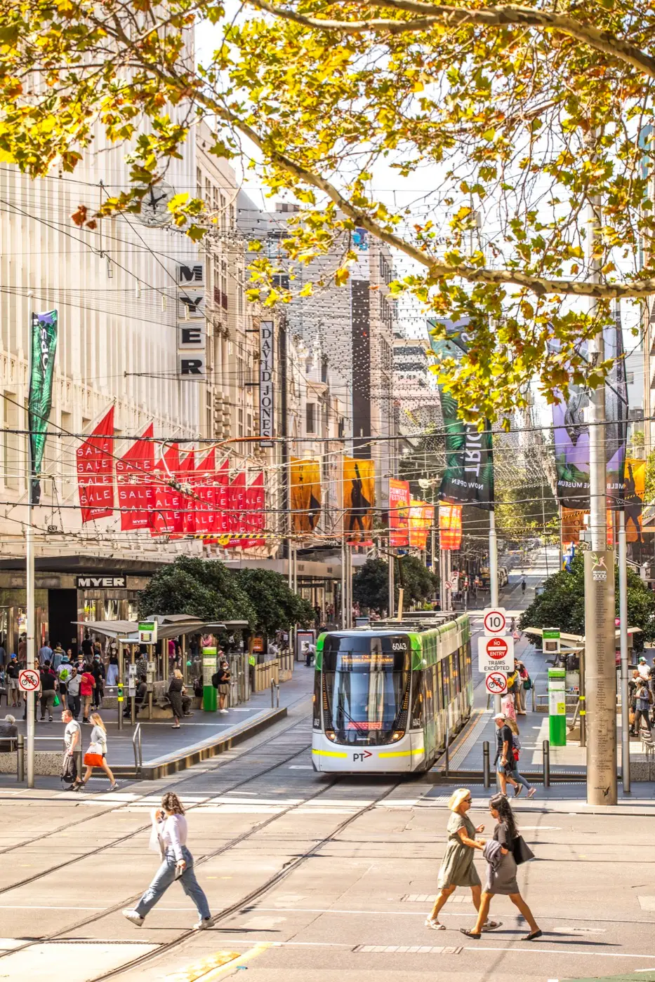 Tram travelling along Bourke Street past Myer beneath leafy trees in central Melbourne