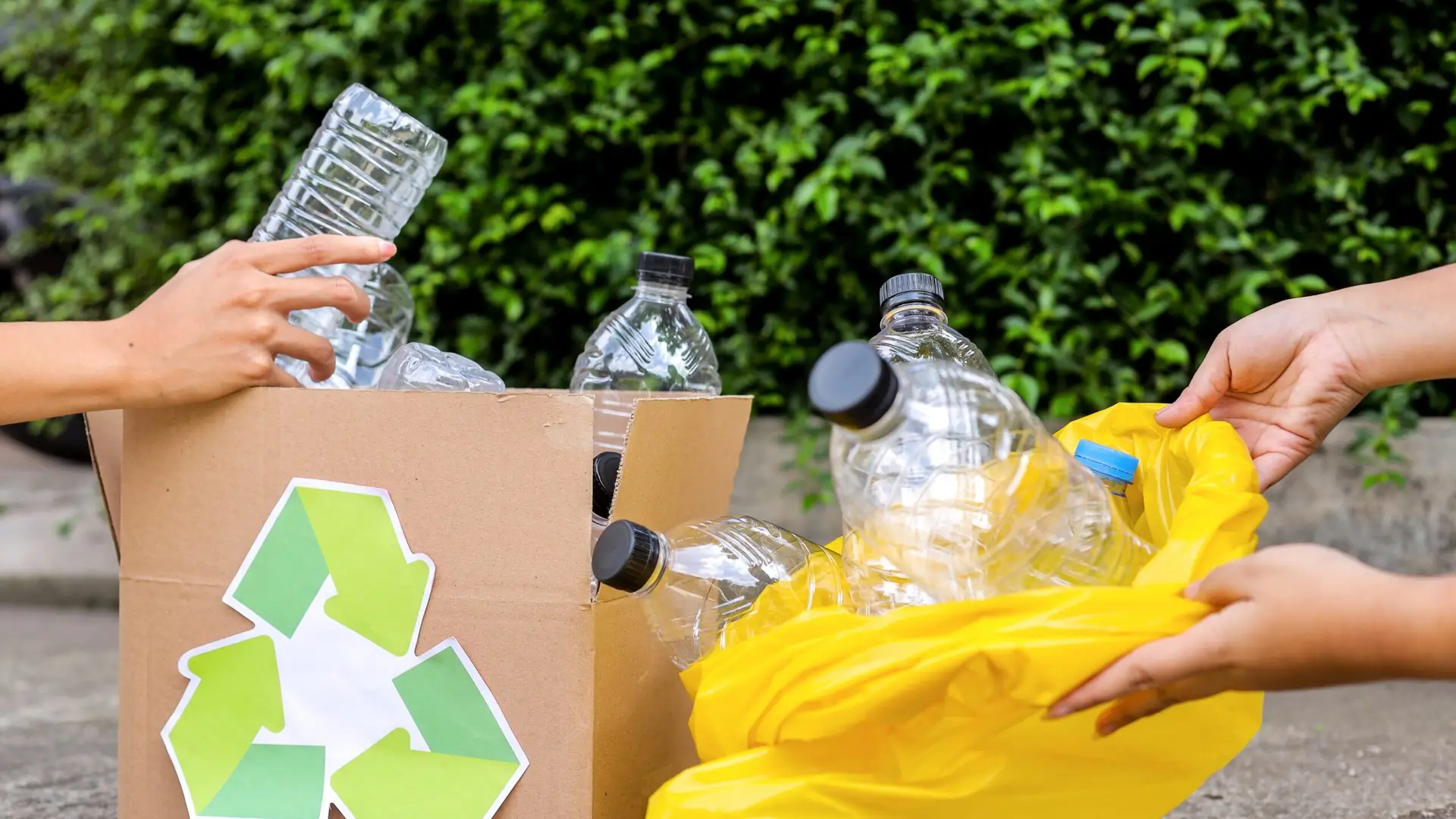 Hands sorting plastic bottles into a recycling box and collection bag