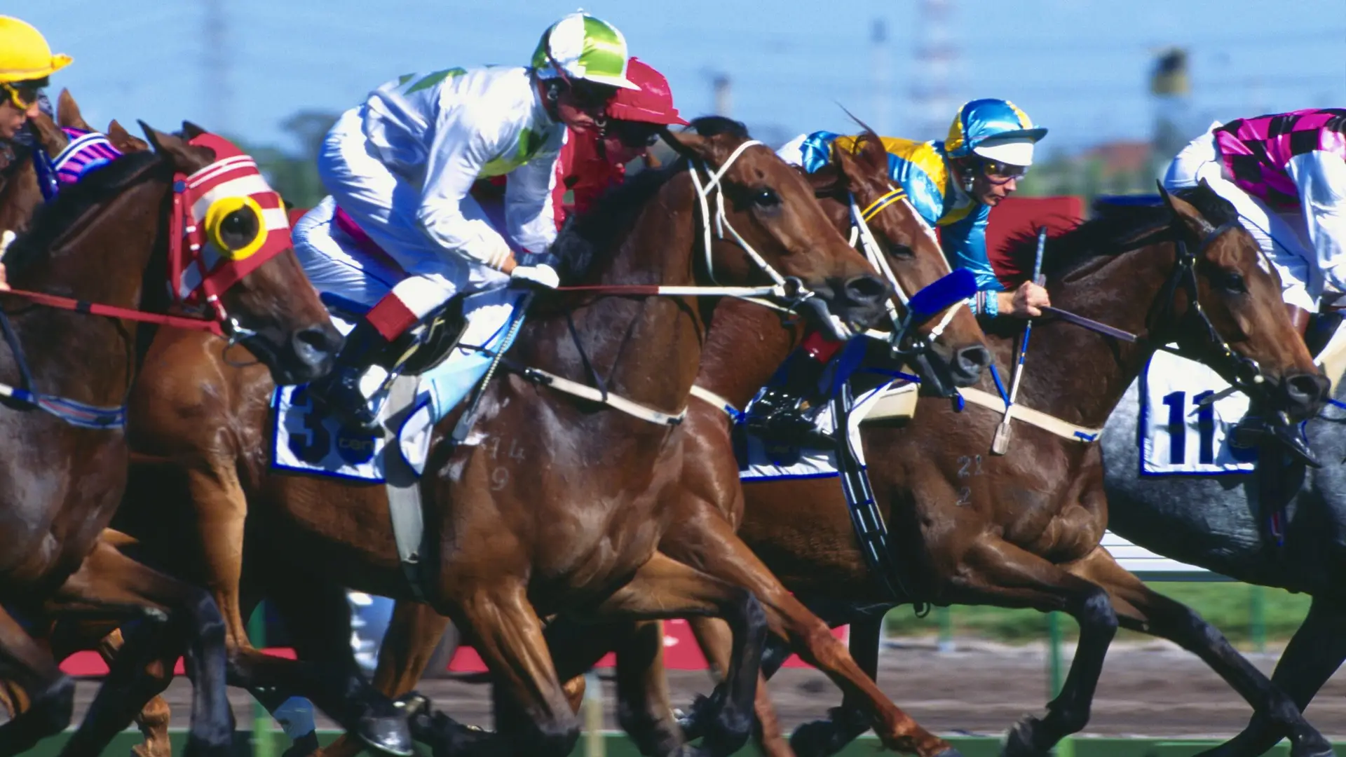 Jockeys in colourful silks riding thoroughbred racehorses galloping closely together on a dirt track under a clear sky.